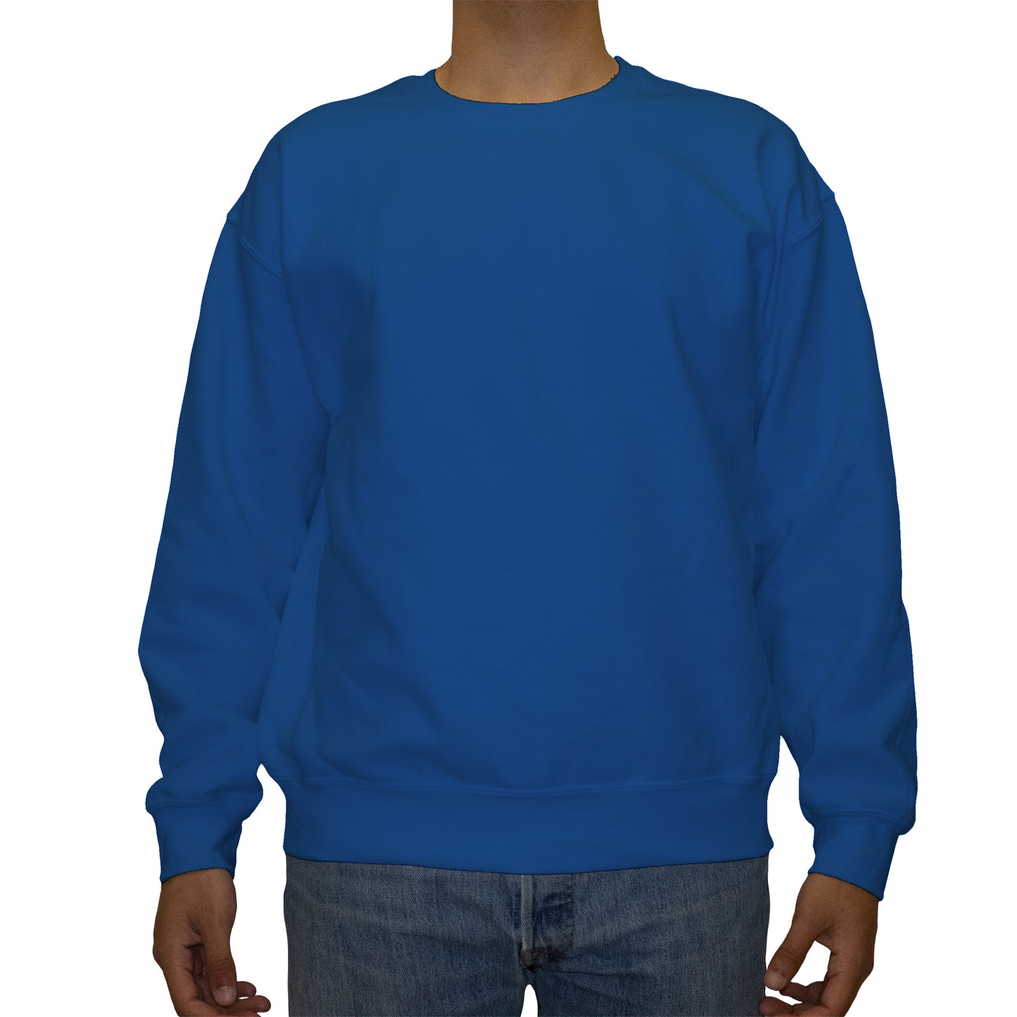 Heavy Blend Sweatshirt